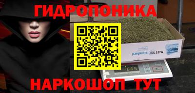 сатива Краснокаменск