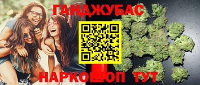 прущие крисы Краснознаменск