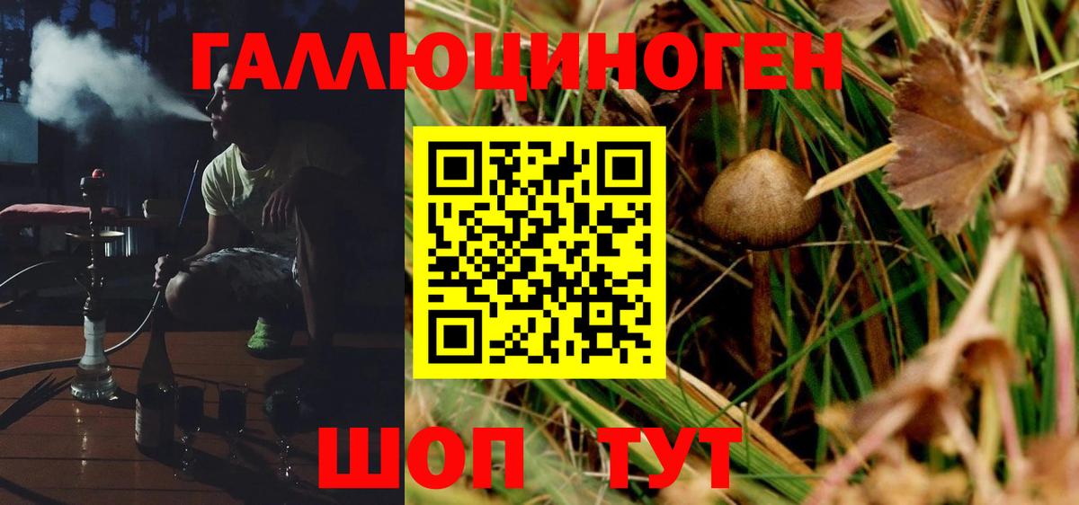 Кисловодск  Галлюциногенные грибы Psilocybine cubensis  Псилоцибиновые грибы мухоморы  Вход с VPN 