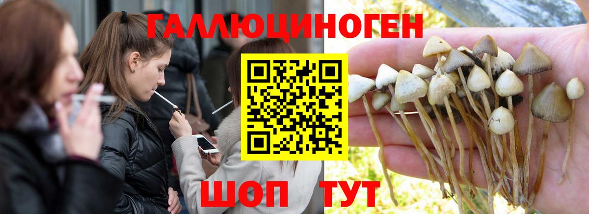 Галлюциногенные грибы ЛСД Кисловодск